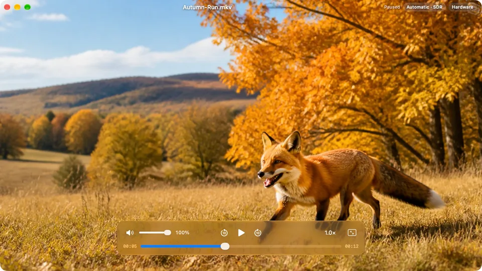 An autumn scene in APlay with timeline and playback speed controls