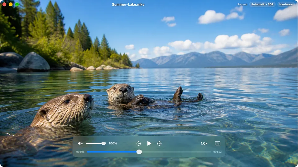 APlay 1.2 playing a lakeside video, with native playback controls and a full-picture seeking preview